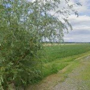 obrazek: avatar MLÝN HORKY