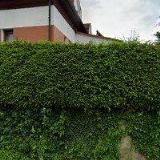 RESTAURANT NA VÝSLUNÍ