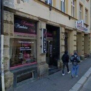 obrazek: avatar TOVARYŠSKÝ VRŠEK