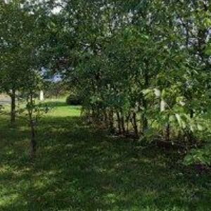 obrazek: avatar VANĚK LIBOR Ing.