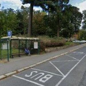 obrazek: avatar DEPPL MUSIC & BOARD CLUB