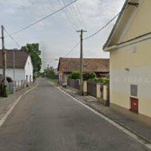 obrazek: avatar MACHÁČKOVÁ SIMONA