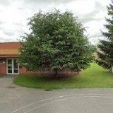 ZŠ A MŠ Trstěnice