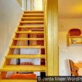 PÁCHOVÁ MICHAELA DiS.