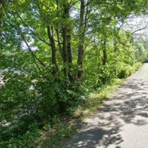 obrazek: avatar CHALUPA NA STRÁNI