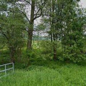 obrazek: avatar CHALUPA U ZEZULKŮ