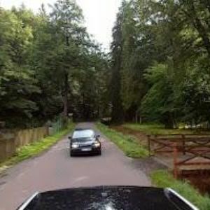 obrazek: avatar ČESKÝ RYBÁŘSKÝ SVAZ, MO Jablonné nad Orlicí