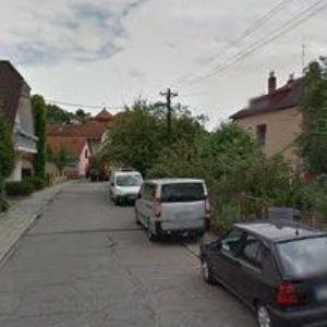 obrazek: avatar VILA ŠOHAJ