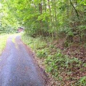 obrazek: avatar CHATA KINEX RELAX