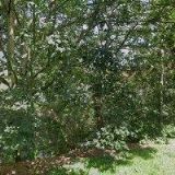 SPECIÁLNÍ ZŠ, MŠ A PRAKTICKÁ ŠKOLA Ústí nad Orlicí