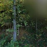 ONDRUŠKOVÁ LUDMILA