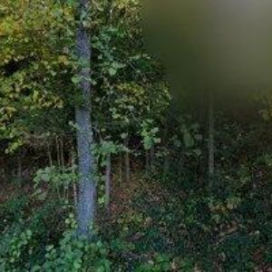 obrazek: avatar ONDRUŠKOVÁ LUDMILA