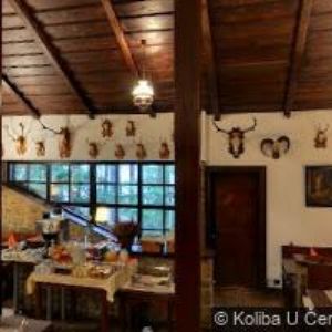 obrazek: avatar KOLIBA U ČERNÉHO MEDVĚDA