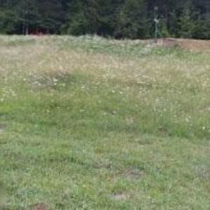 obrazek: avatar VILA ANNA