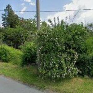 obrazek: avatar PENZION BESKYD