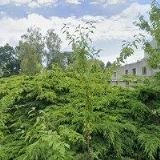 VEST STRAVOVÁNÍ s.r.o.