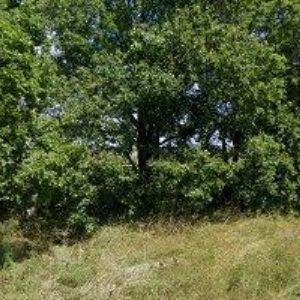 obrazek: avatar UBYTOVNA ČANKOVICE