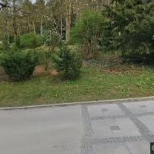 obrazek: avatar VILA TAŤÁNA