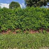 RESTAURACE LIDOVÝ DŮM