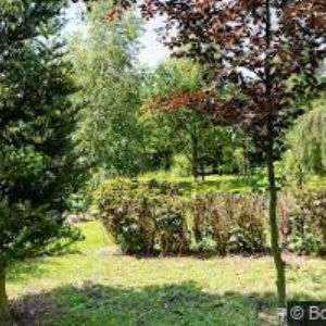 obrazek: avatar CHALUPA KONÍRNA