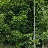 RESTAURACE U NÁDRAŽÍ