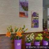 RESTAURACE CHRUDIMKA