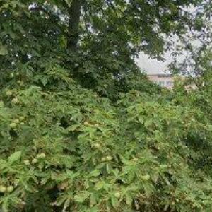 obrazek: avatar SPŠ Chrudim