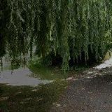 VÍNA CHOCHOLA s.r.o.