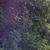 REKREAČNÍ ZAŘÍZENÍ ATLAS