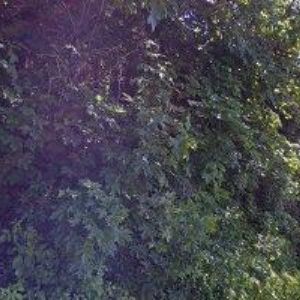 obrazek: avatar REKREAČNÍ ZAŘÍZENÍ ATLAS