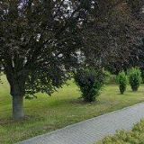 ŠKOLNÍ JÍDELNA KRÁLÍKY