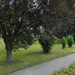 obrazek: avatar ŠKOLNÍ JÍDELNA KRÁLÍKY