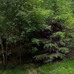 obrazek: avatar DĚTSKÉ REKREAČNÍ STŘEDISKO NADĚJE