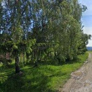 obrazek: avatar CHATA MAXE ŠVABINSKÉHO