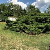 GALERIE CAFÉ PARK RESTAURANT s.r.o.