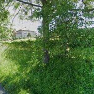 obrazek: avatar MERTA LUBOŠ