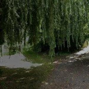 obrazek: avatar CHOCHOLA VÁCLAV Ing.