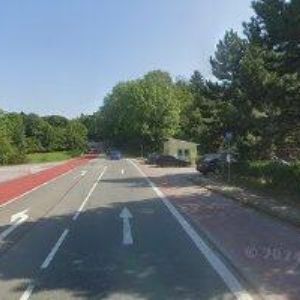 obrazek: avatar MOTOREST RASOVÁ