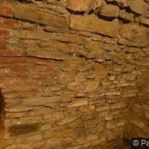 obrazek: avatar PIZZERIA RESTAURACE U ZELENÉHO STROMU