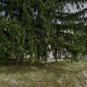 obrazek: avatar CENTRUM BRANNÝCH AKTIVIT z.s.