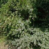 RESTAURACE POD HRADEM