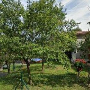 obrazek: avatar RESTAURACE VESELANKA