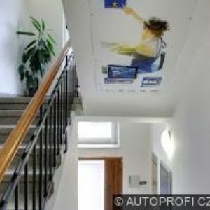 obrazek: avatar WEB7MASTER s.r.o.