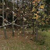 REKREAČNÍ STŘEDISKO KRÁLOVEC