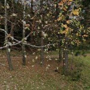 obrazek: avatar REKREAČNÍ STŘEDISKO KRÁLOVEC