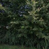 GASTRO SKLENIČKA s.r.o.