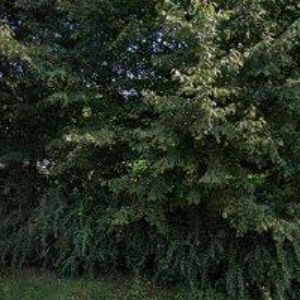 obrazek: avatar GASTRO SKLENIČKA s.r.o.