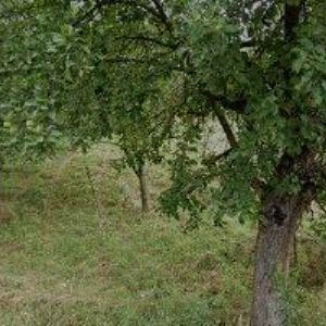 obrazek: avatar RYBÁRNA VIZOVICE