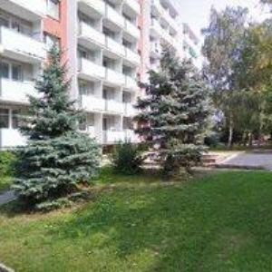 obrazek: avatar PIZZA PREMIERA