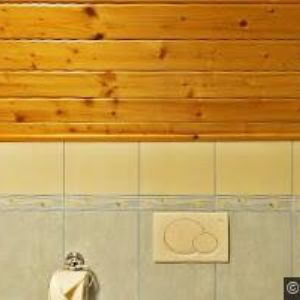 obrazek: avatar U PAŘÍZKŮ